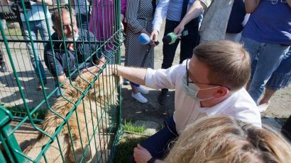 Алексей Текслер побывал в приюте животных и выслушал жалобы зоозащитников