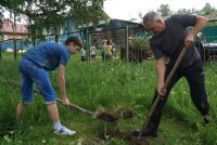 В парке Героя Советского Союза появились молодые сосёнки