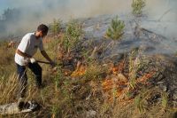 Восемь из десяти лесных пожаров возникают по вине человека 