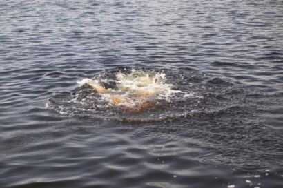 В п. Вязовая в реке Юрюзань утонул 53-летний мужчина