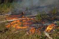 В Челябинской области приближается пожароопасный период