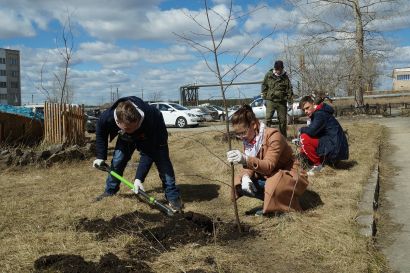 По инициативе активных устькатавцев в городе началось озеленение