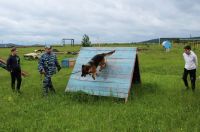 Усть-катавские полицейские продемонстрировали служебную собаку