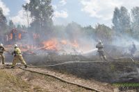 На Южном Урале обсудили итоги пожароопасного сезона и готовятся к новому