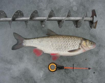 О том, как можно результативно ловить рыбу зимой на реке Юрюзань