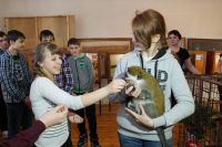В Усть-Катаве открылась выставка тропических животных