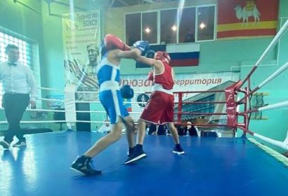 Усть-катавские боксёры приняли участие в областном турнире