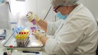 В Челябинской области провели исследования по выявлению антител к коронавирусу