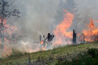 Алексей Текслер призвал жителей области соблюдать противопожарные правила