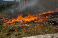 Алексей Текслер потребовал принять меры для предотвращения лесных пожаров