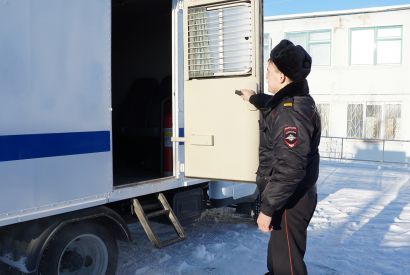 В квартире жителя Усть-Катава обнаружена конопля