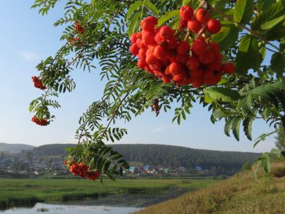 Прогноз погоды в Усть-Катаве на 31 августа, 1 сентября