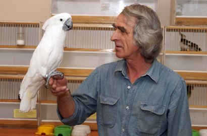 В музее Усть-Катава работает выставка певчих птиц