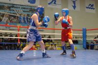 В Усть-Катаве прошёл традиционный областной турнир по боксу
