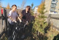 Усть-катавские школьники вышли на уборку кедровой аллеи