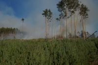 В Усть-Катаве, как и по всей области, введён противопожарный режим!