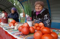 Яблоки, помидоры… Чем ещё одарил этот год?