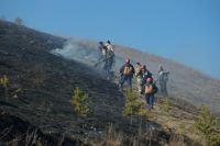 В Усть-Катаве огонь с сухой травы добрался до жилой застройки