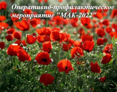 : tramuk.ru