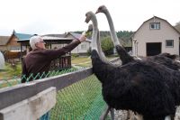 Африканские страусы и не только. Знакомство с новыми жителями Уральского села
