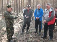 Депутаты взялись за решение проблемы лесного хозяйства