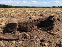 Поисковики нашли в Усть-Катаве родственников погибшего солдата Великой Отечественной