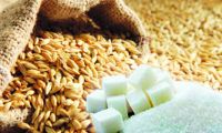 Правительство России временно запретило экспорт сахара и зерновых