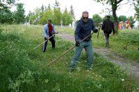В Усть-Катаве в городском парке скосили траву