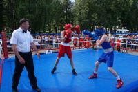 Усть-Катав с размахом отметил Международный день бокса