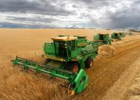 На Южном Урале к началу осени собрали миллион тонн зерна
