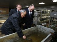 Губернатор Борис Дубровский наметил перспективы рыбоводства