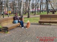 Парк Дворца культуры в Усть-Катаве вновь обновился